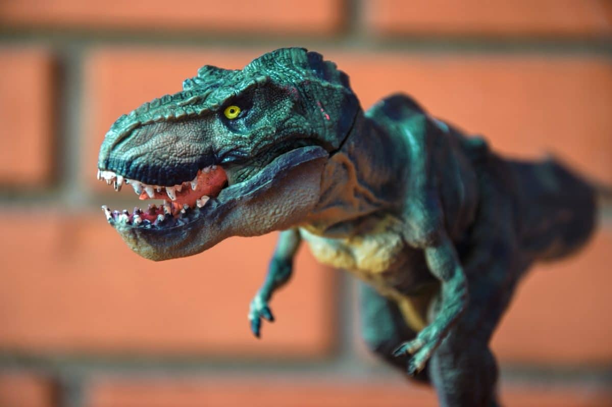 dinosaur toy image
